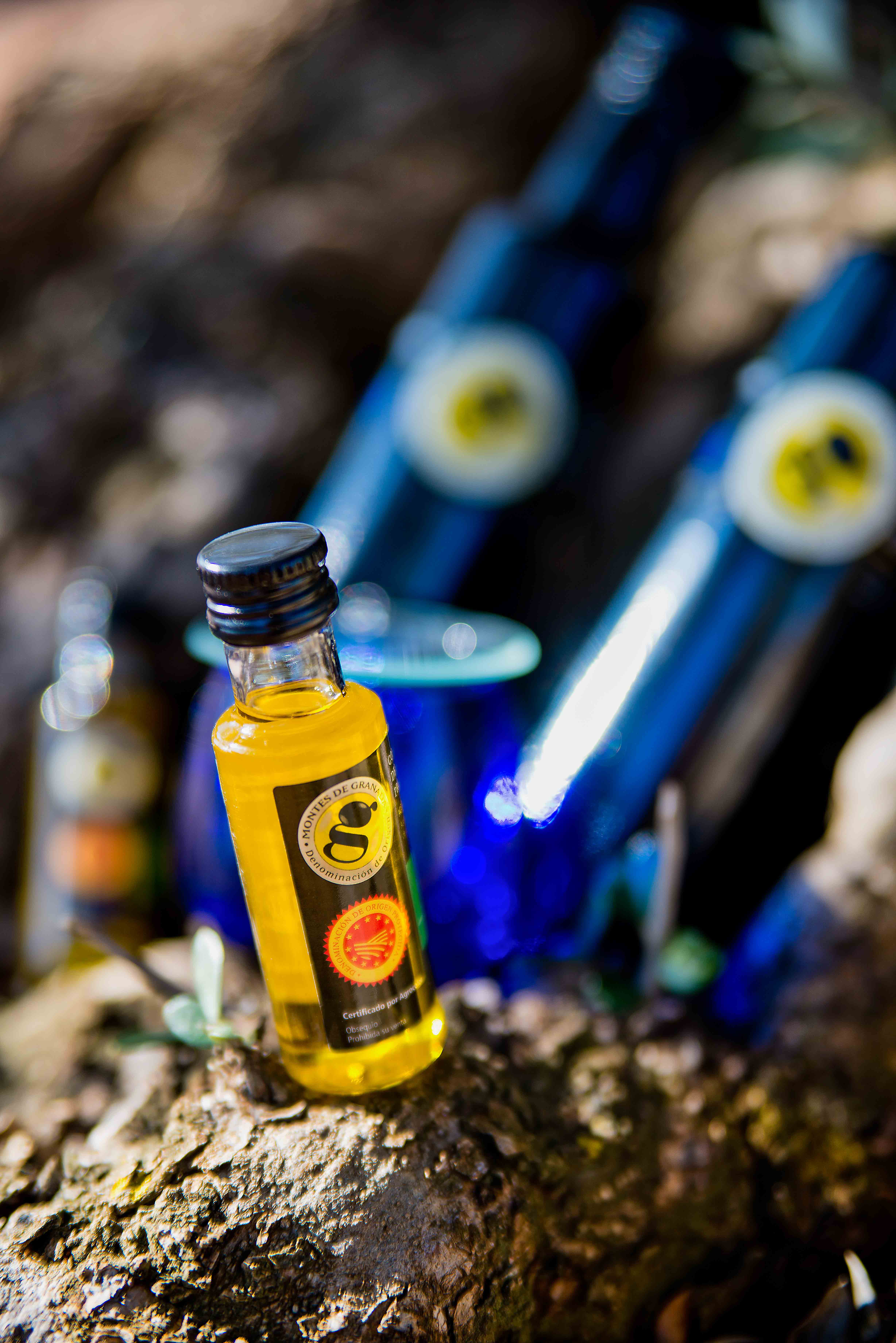 Cata de Aceite de Oliva