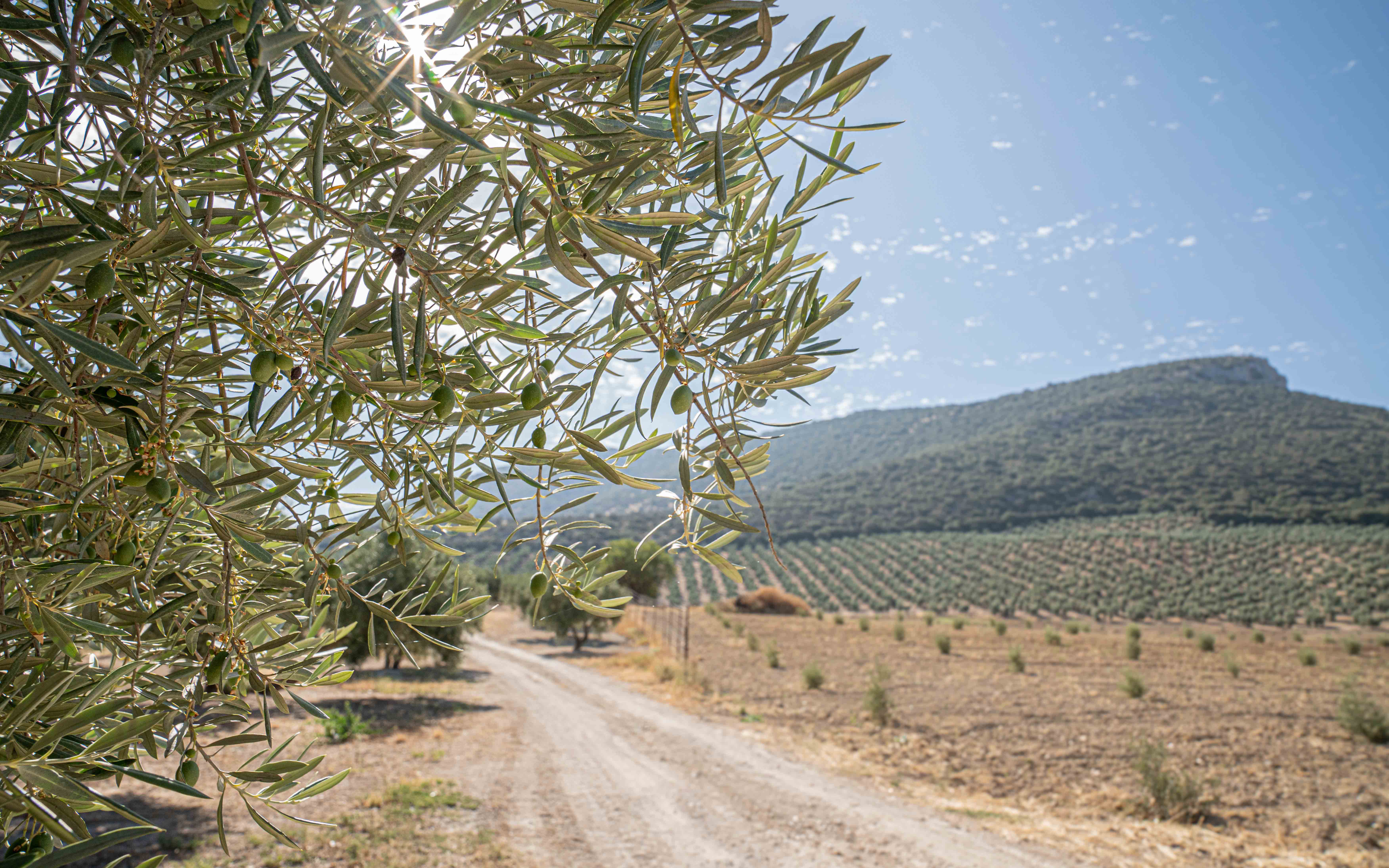 Certificación y Calidad